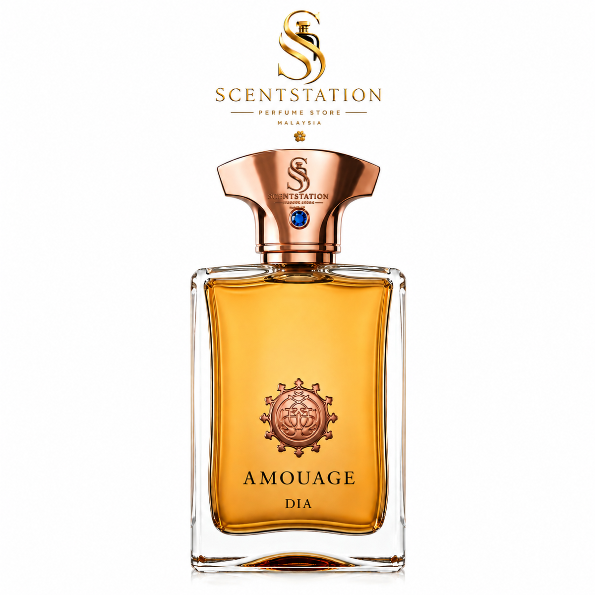 Amouage Dia Man EDP 100ML authentic fresh woody floral perfume for men